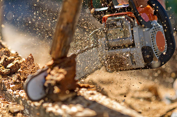 How to Start a Chainsaw