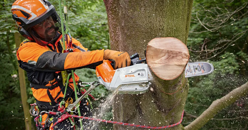 Best Chainsaw for Arborist