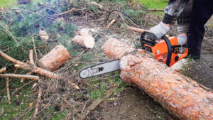 Best Chainsaw for Big Trees