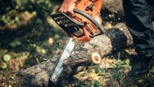 Best Chainsaw for Cutting Large Trees