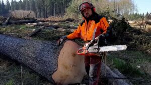 Best Chainsaw for Felling Tree