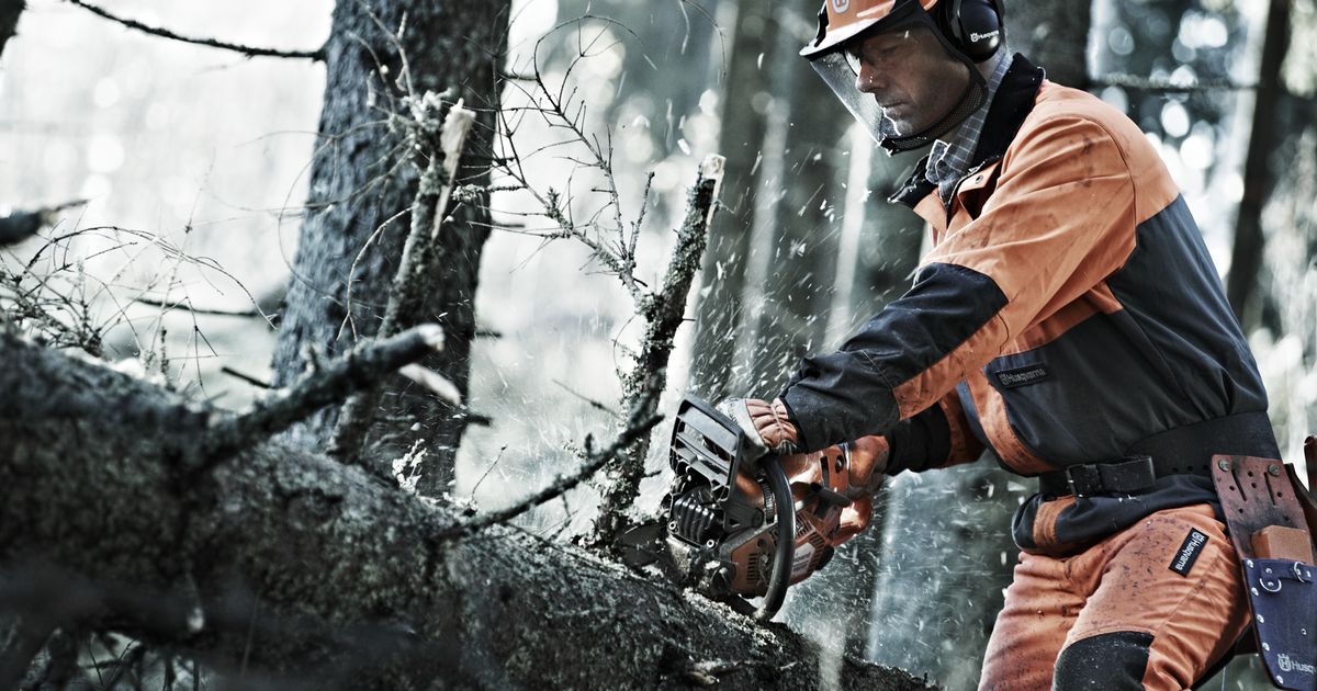 Best Chainsaw for Limbing