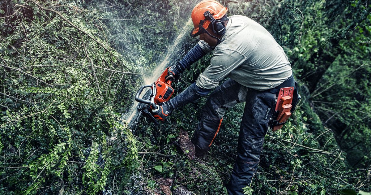 Best Chainsaw for Storm Cleanup