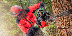 Best chainsaw for clearing land